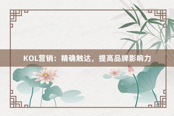 KOL营销：精确触达，提高品牌影响力